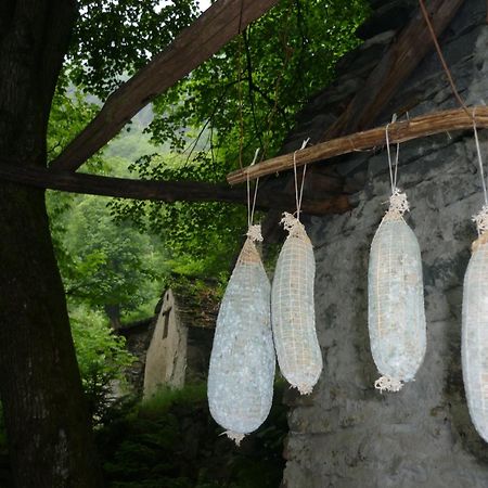 Da Erminia Bed & Breakfast Verdabbio Ngoại thất bức ảnh